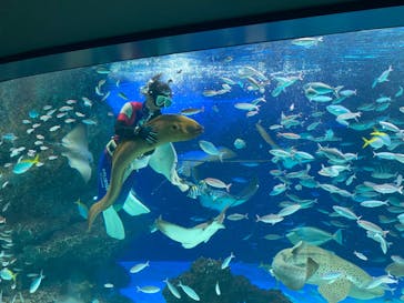 サンシャイン水族館に投稿された画像（2023/1/4）
