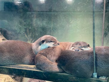 サンシャイン水族館に投稿された画像（2023/1/4）