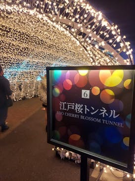 東京メガイルミに投稿された画像（2023/1/4）