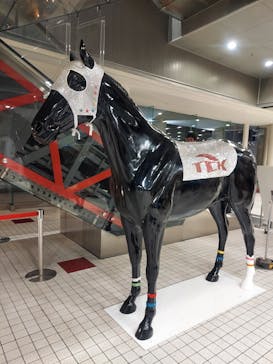 東京メガイルミに投稿された画像（2023/1/4）