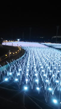 東京メガイルミに投稿された画像（2023/1/4）