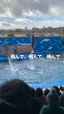 仙台うみの杜水族館に投稿された画像（2023/1/4）
