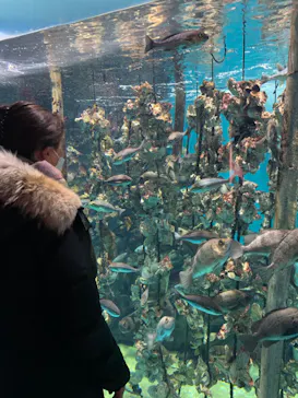 仙台うみの杜水族館に投稿された画像（2023/1/4）
