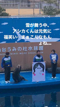 仙台うみの杜水族館に投稿された画像（2023/1/4）