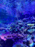 名古屋港水族館に投稿された画像（2023/1/4）