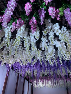 東京メガイルミに投稿された画像（2023/1/4）