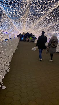 東京メガイルミに投稿された画像（2023/1/4）