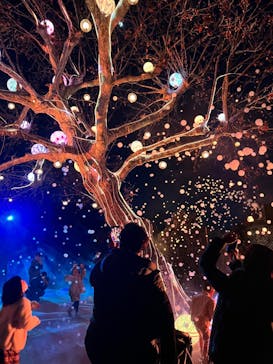 西武園ゆうえんちに投稿された画像（2023/1/4）