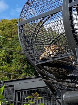 沖縄こどもの国に投稿された画像（2023/1/4）