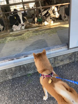 マザー牧場に投稿された画像（2023/1/4）