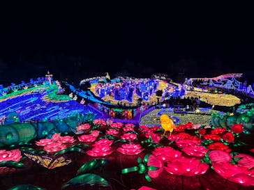 伊豆ぐらんぱる公園に投稿された画像（2023/1/4）