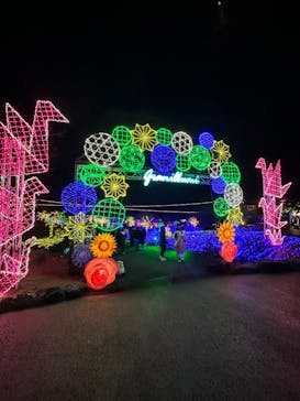 伊豆ぐらんぱる公園に投稿された画像（2023/1/4）