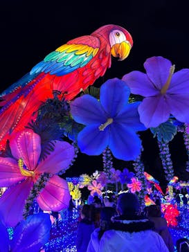 伊豆ぐらんぱる公園に投稿された画像（2023/1/4）