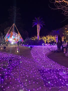 江の島シーキャンドルに投稿された画像（2023/1/4）