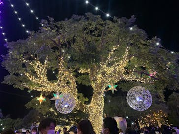 江の島シーキャンドルに投稿された画像（2023/1/4）