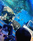 しながわ水族館に投稿された画像（2023/1/4）