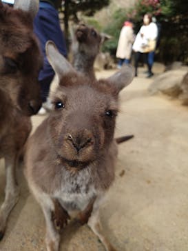 伊豆シャボテン動物公園に投稿された画像（2023/1/4）