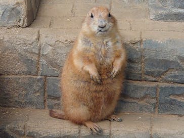 伊豆シャボテン動物公園に投稿された画像（2023/1/4）