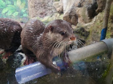 伊豆シャボテン動物公園に投稿された画像（2023/1/4）
