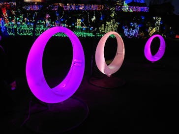 伊豆ぐらんぱる公園に投稿された画像（2023/1/4）