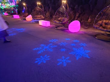 伊豆ぐらんぱる公園に投稿された画像（2023/1/4）