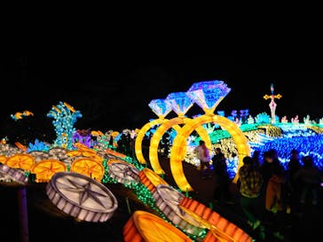 伊豆ぐらんぱる公園に投稿された画像（2023/1/4）