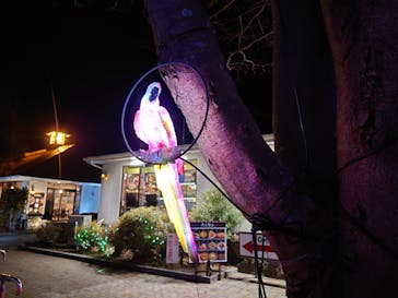 伊豆ぐらんぱる公園に投稿された画像（2023/1/4）