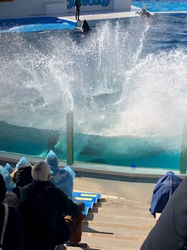 鴨川シーワールドに投稿された画像（2023/1/4）