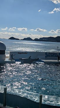 鴨川シーワールドに投稿された画像（2023/1/4）