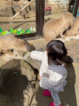 伊豆シャボテン動物公園に投稿された画像（2023/1/4）