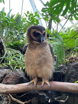 伊豆シャボテン動物公園に投稿された画像（2023/1/4）