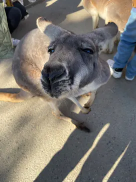 神戸どうぶつ王国に投稿された画像（2023/1/4）