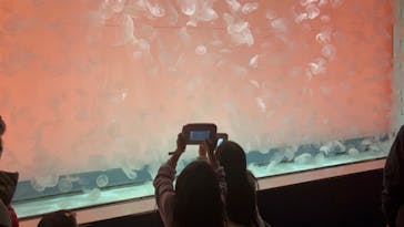 アクアワールド茨城県大洗水族館に投稿された画像（2023/1/4）
