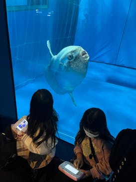アクアワールド茨城県大洗水族館に投稿された画像（2023/1/4）