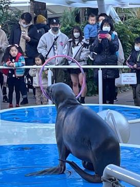 サンシャイン水族館に投稿された画像（2023/1/4）