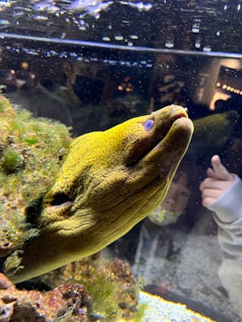 京都水族館に投稿された画像（2023/1/4）