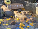 伊豆シャボテン動物公園に投稿された画像（2023/1/4）