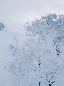 スキージャム勝山に投稿された画像（2023/1/4）