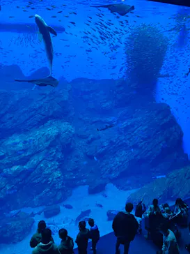 仙台うみの杜水族館に投稿された画像（2023/1/4）