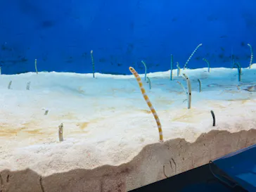 仙台うみの杜水族館に投稿された画像（2023/1/4）