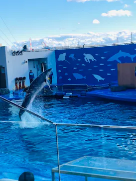仙台うみの杜水族館に投稿された画像（2023/1/4）