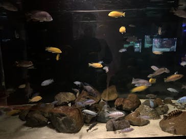 カワスイ 川崎⽔族館に投稿された画像（2023/1/4）