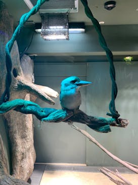 カワスイ 川崎⽔族館に投稿された画像（2023/1/4）