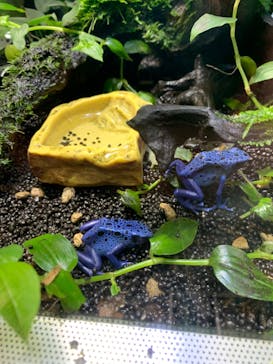 カワスイ 川崎⽔族館に投稿された画像（2023/1/4）