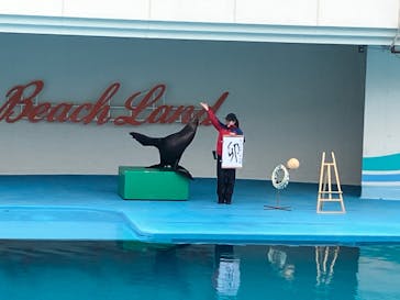 南知多ビーチランド＆南知多おもちゃ王国に投稿された画像（2023/1/4）