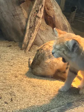 神戸どうぶつ王国に投稿された画像（2023/1/4）