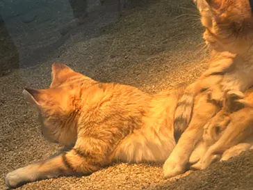 神戸どうぶつ王国に投稿された画像（2023/1/4）