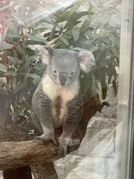 淡路ファームパーク イングランドの丘に投稿された画像（2023/1/4）