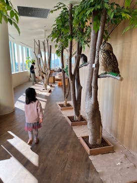 Moff animal cafe 小田原ダイナシティ店に投稿された画像（2023/1/4）