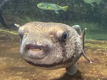 鴨川シーワールドに投稿された画像（2023/1/4）